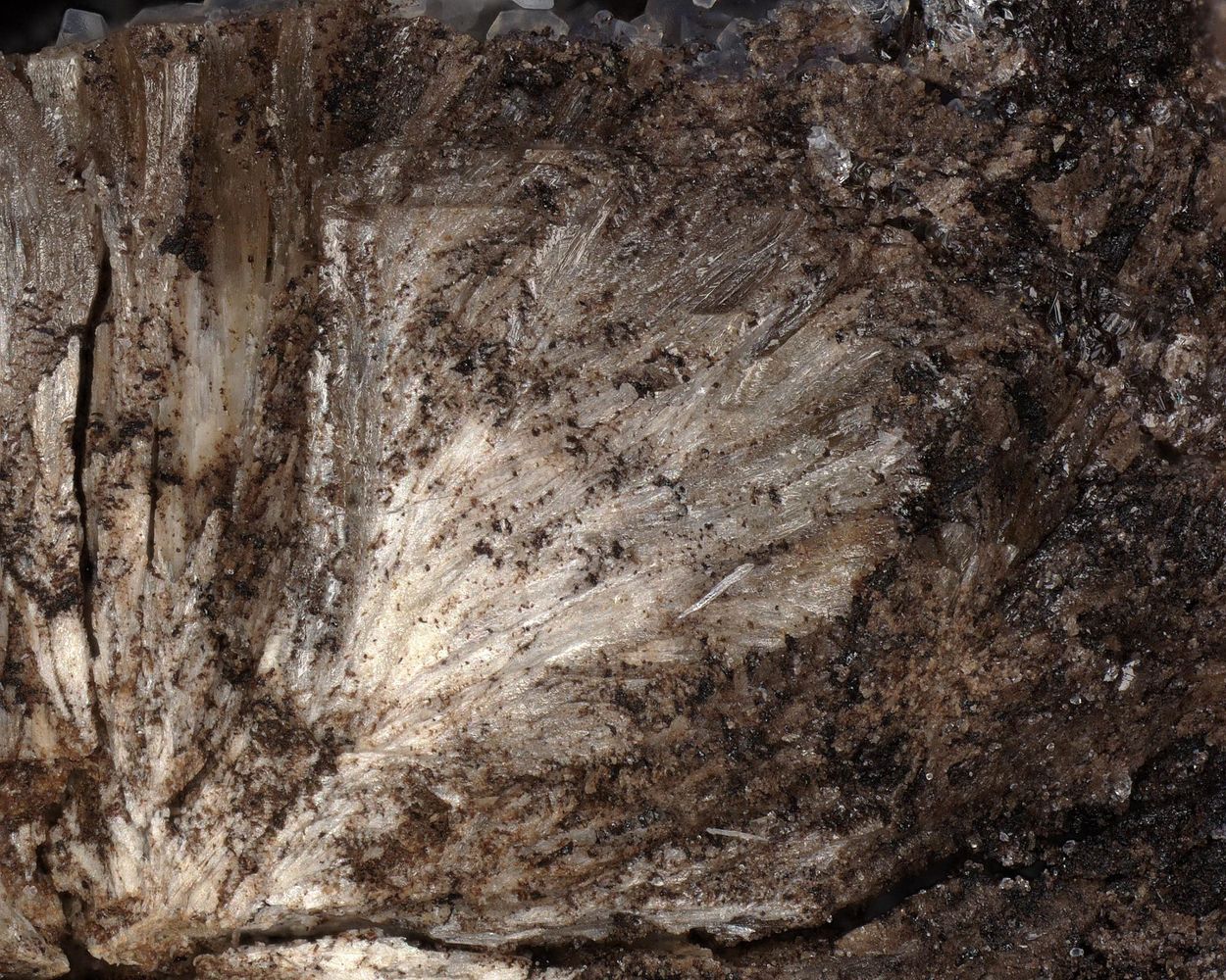 Dondoellite