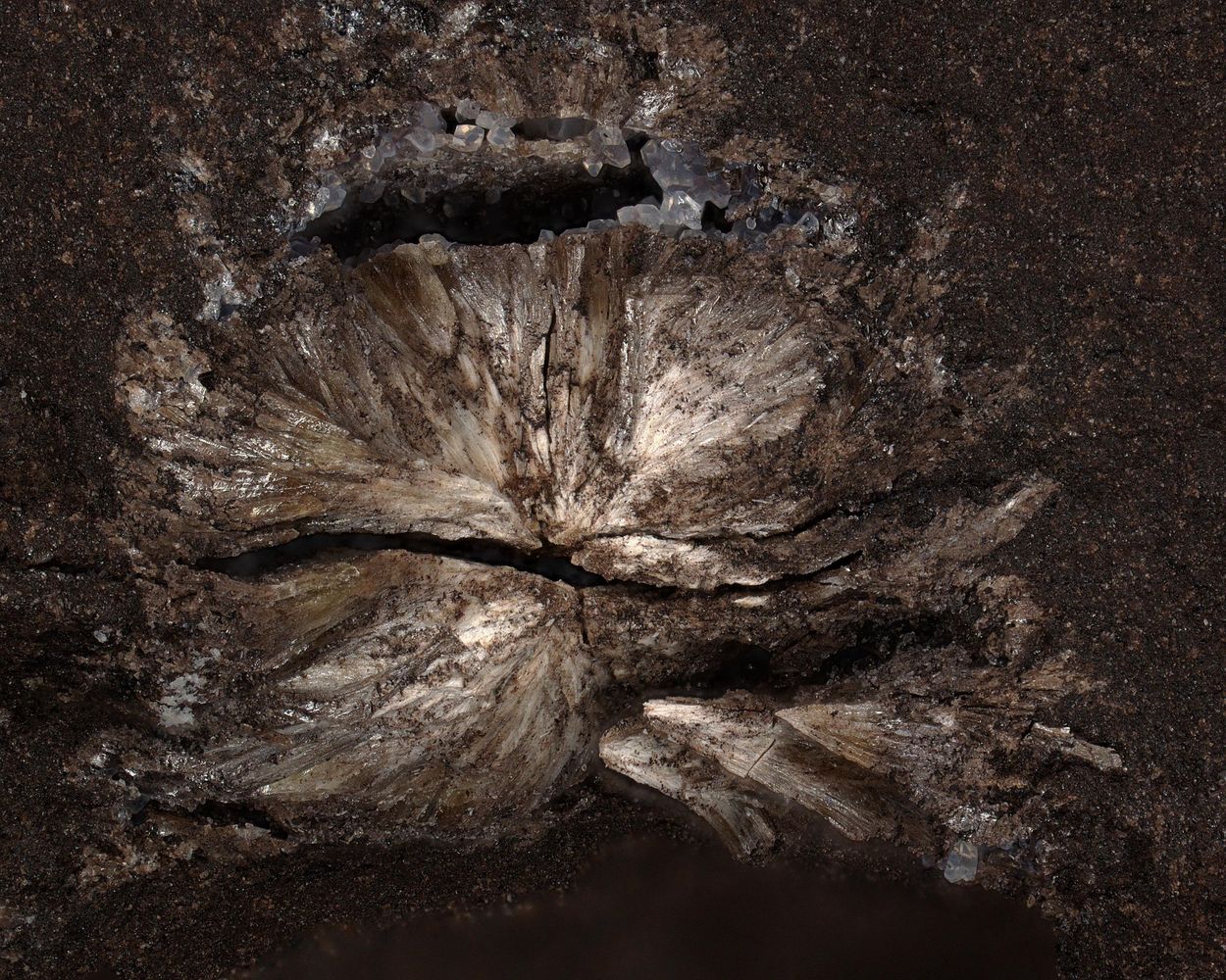 Dondoellite