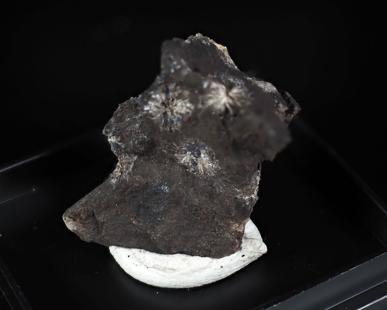Dondoellite