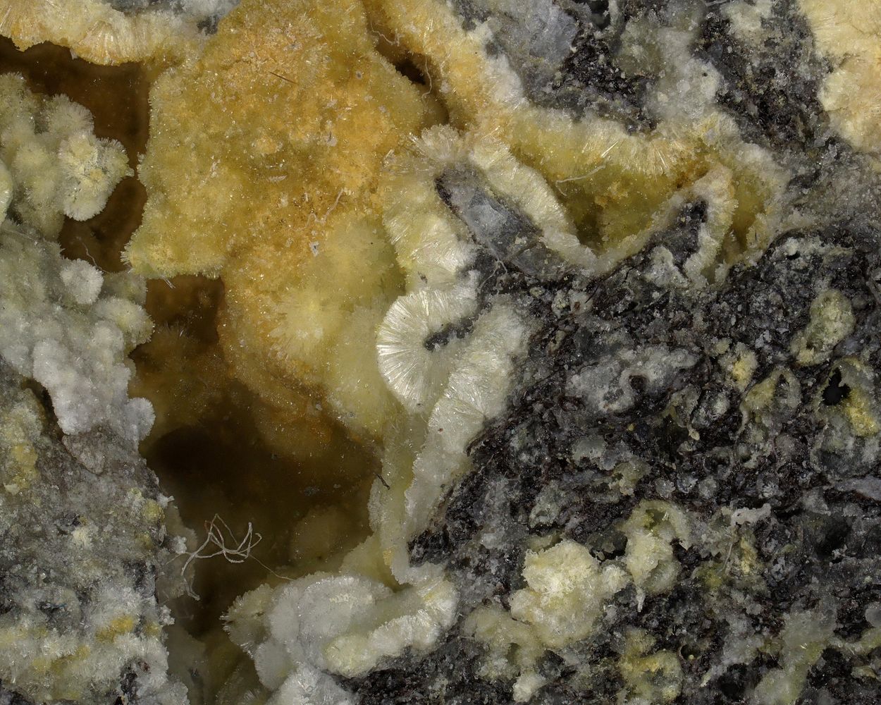 Adranosite-(Fe)