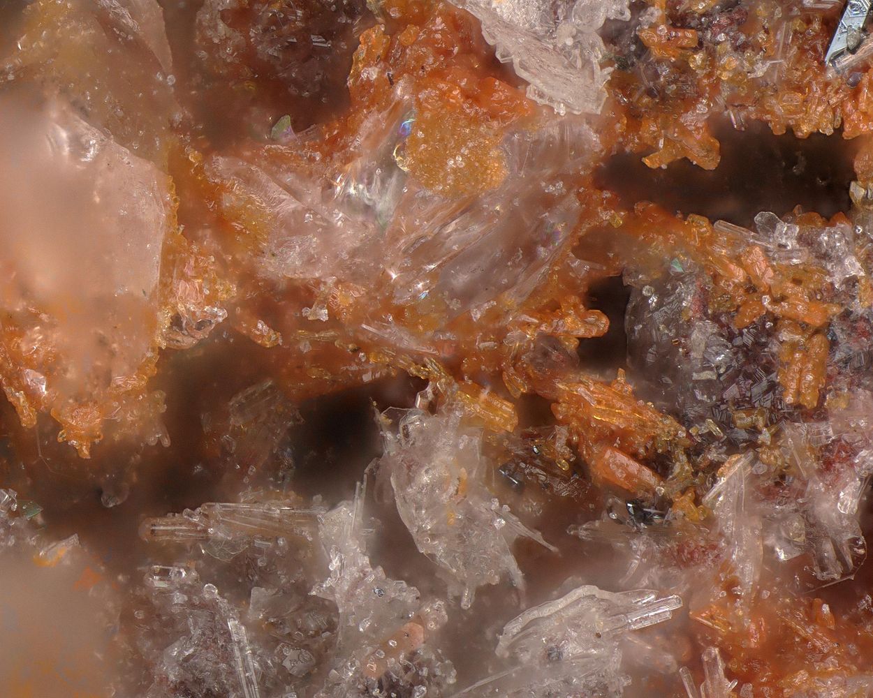Magnesio-fluoro-hastingsite