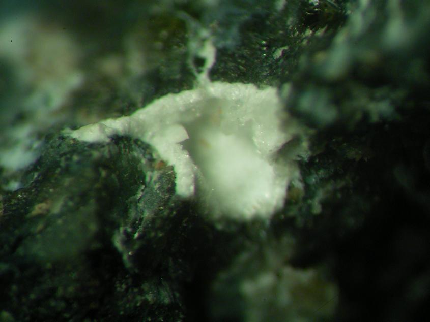 Hydrocalumite