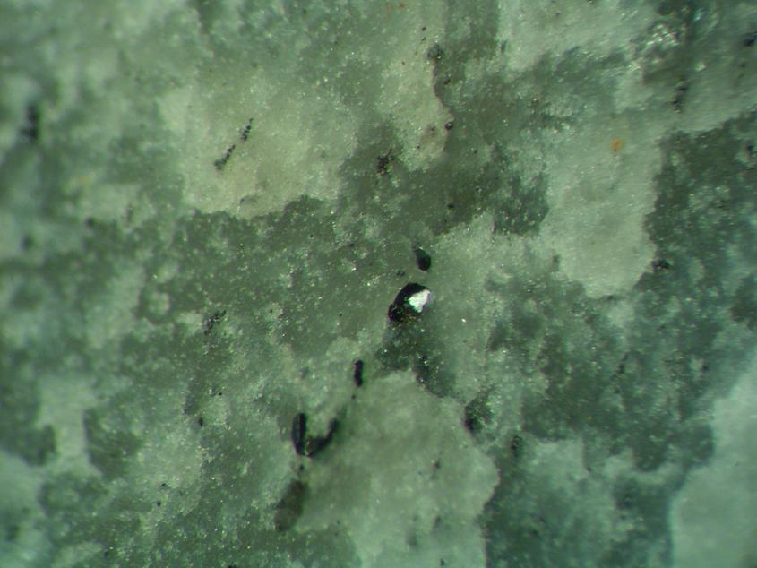 Melonite & Calaverite