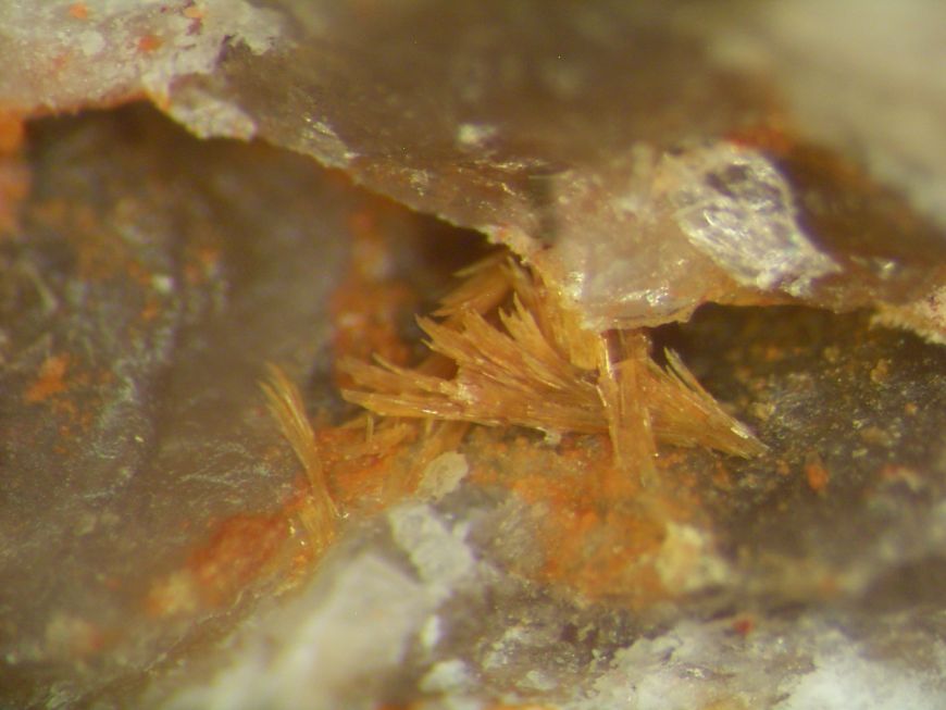 Parsonsite