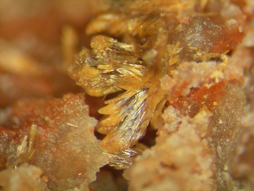 Parsonsite