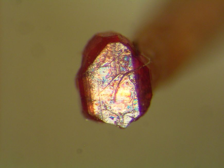 Tantalite-(Mn)