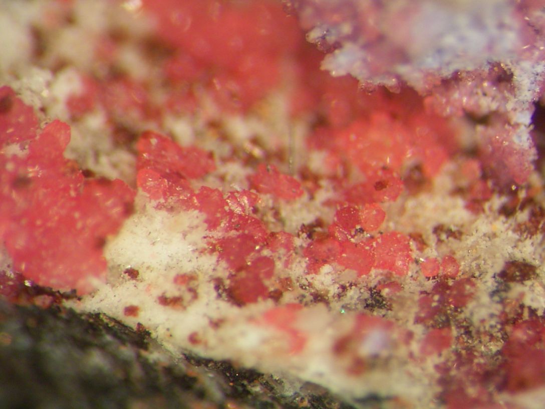 Variscite & Leucophosphite