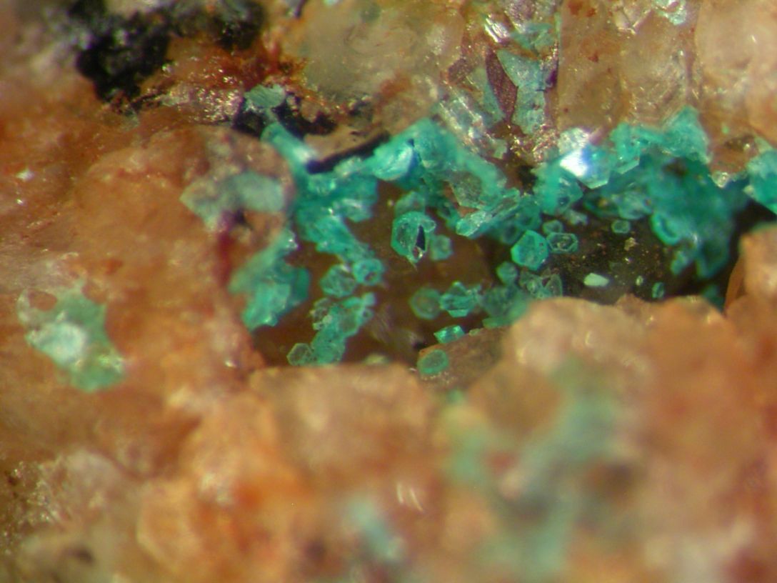 Chalcophyllite