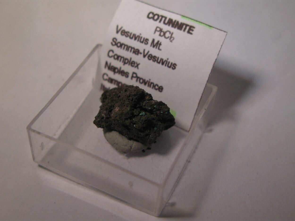 Cotunnite