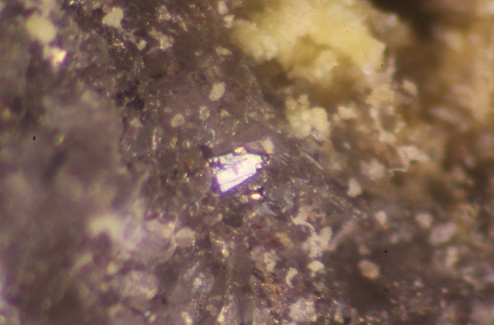 Routhierite Arsiccioite & Protochabournéite