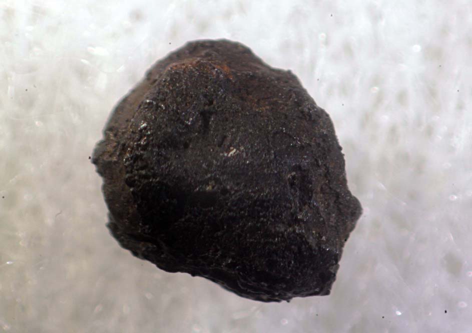 Chondrite Meteroite 