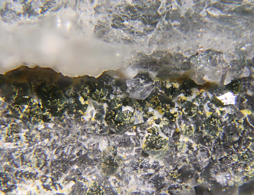 Dellagiustaite