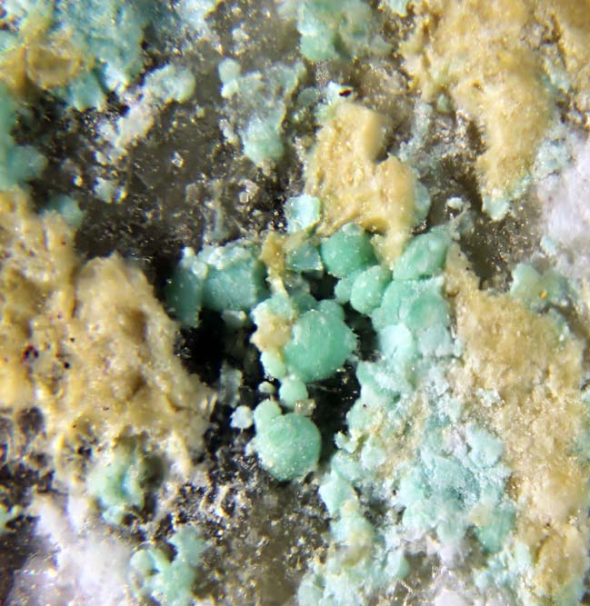 Kinoite Gilalite & Ruizite