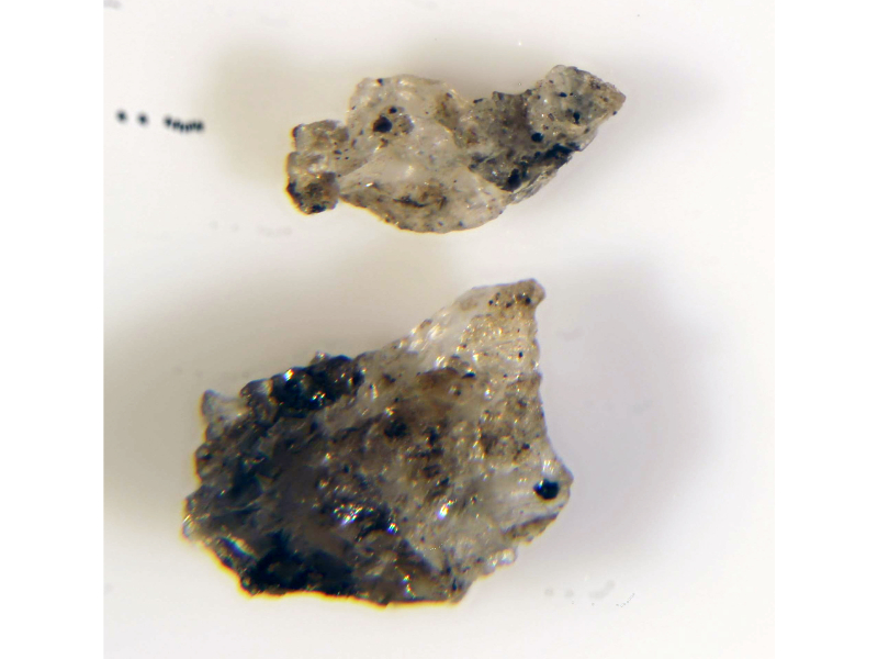 Dittmarite