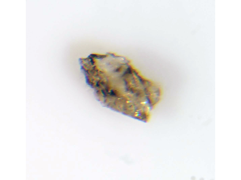 Dittmarite