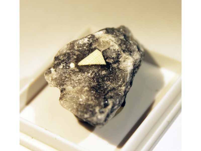 Halurgite