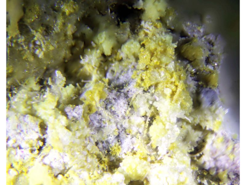Krausite