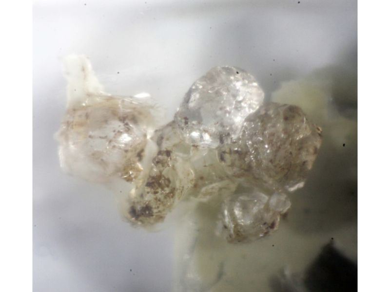 Rinneite & Saltonseaite