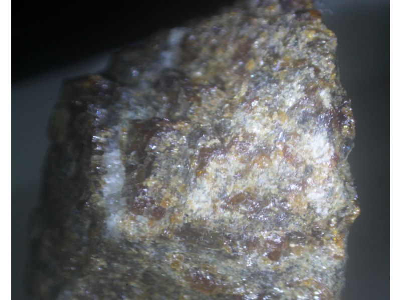 Vimsite