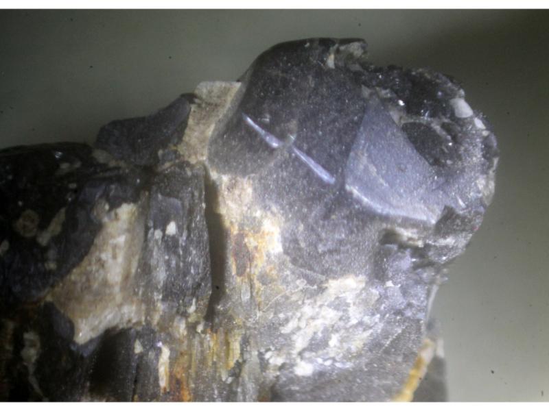 Fluoro-richterite