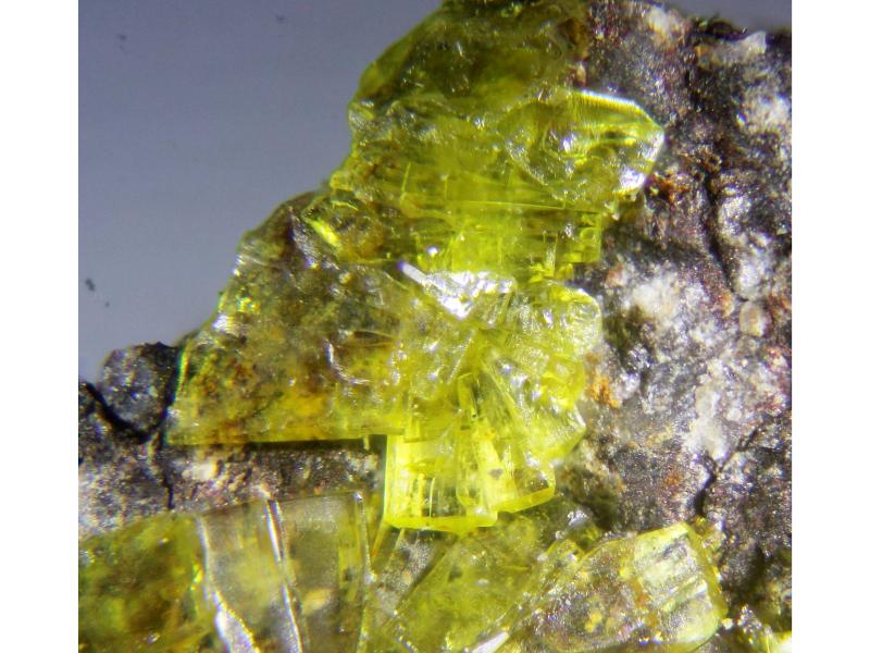 Grimselite