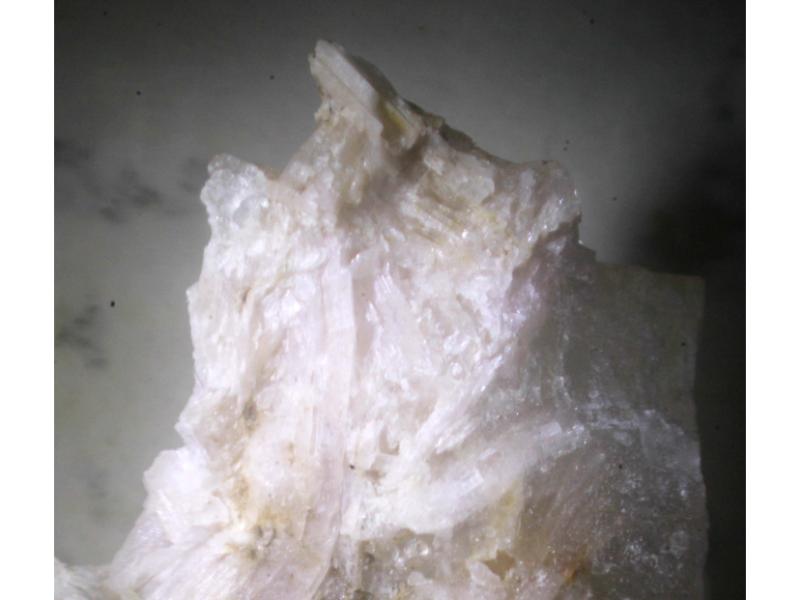 Sørensenite