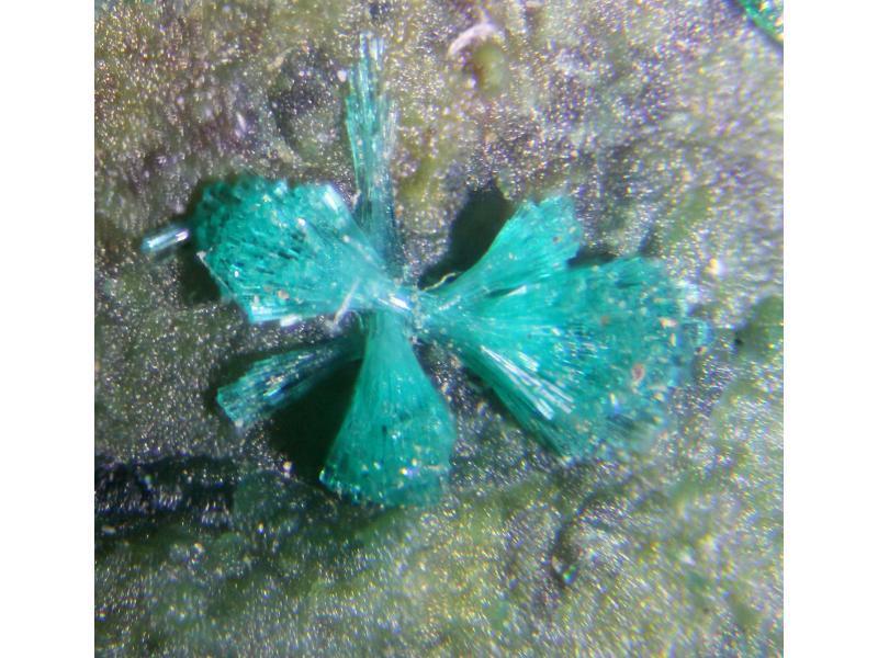 Dioptase & Atacamite
