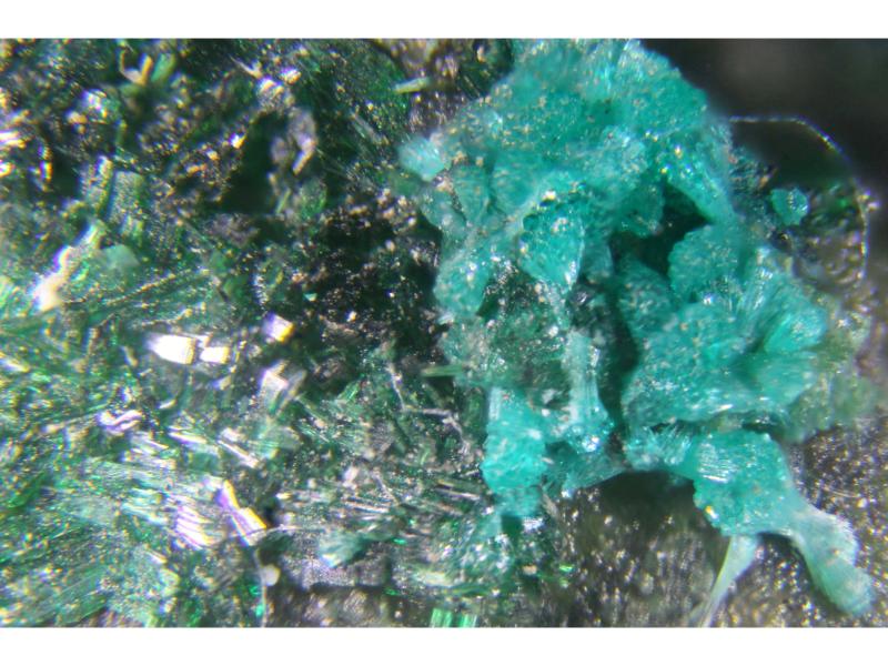 Dioptase & Atacamite