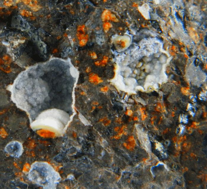 Phillipsite