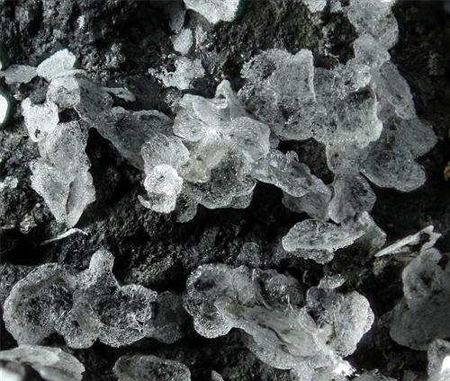 Ravatite