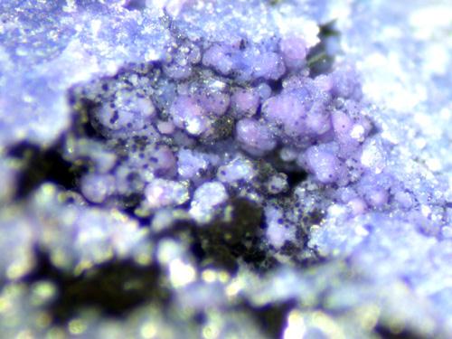 Bermanite & Phosphosiderite