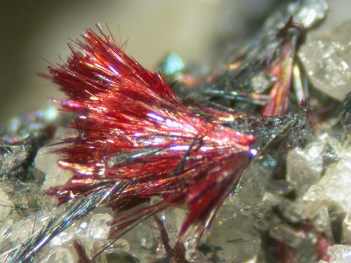 Kermesite & Stibnite