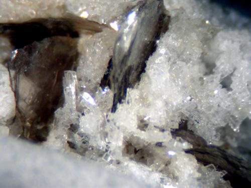 Bertrandite Muscovite & Albite