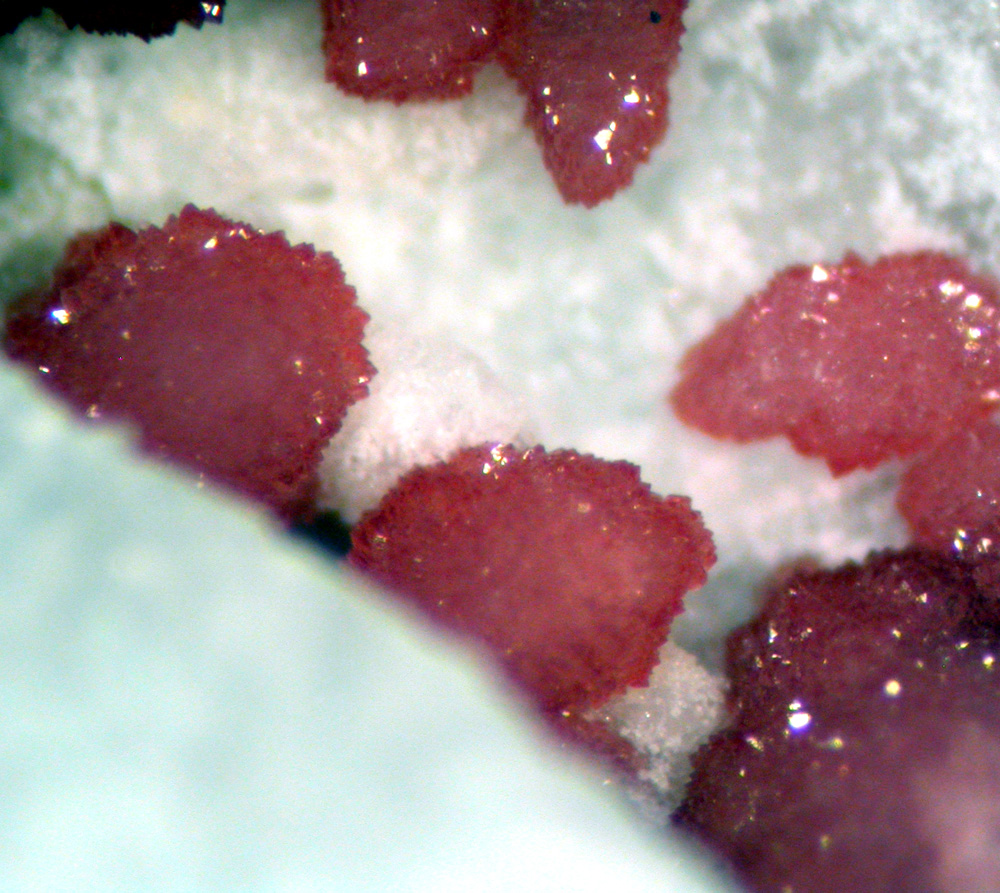 Sapucaia Mine Selection (12 Specimens)