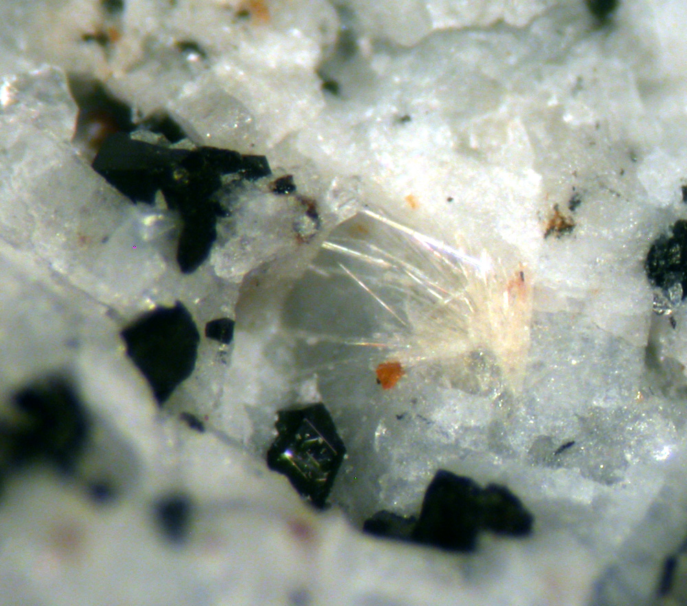 Fogoite-(Y) & Astrophyllite