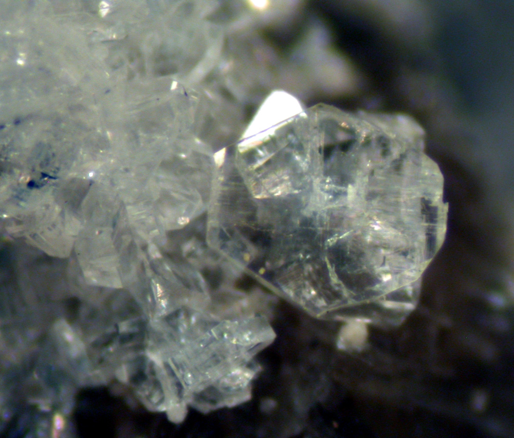 Bertrandite & Muscovite