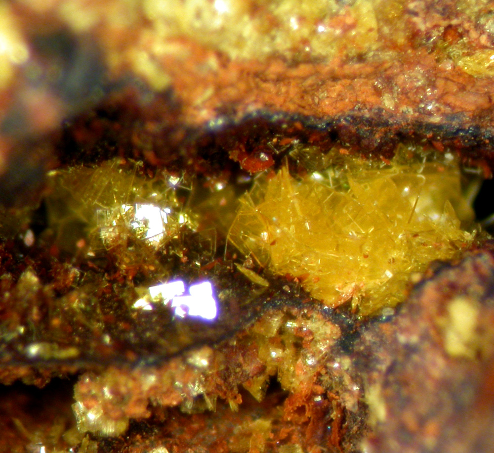 Sabugalite & Phosphuranylite