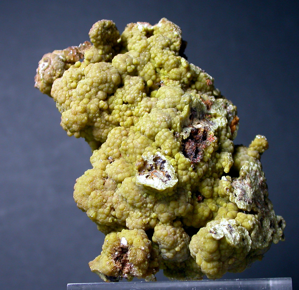 Arsendescloizite