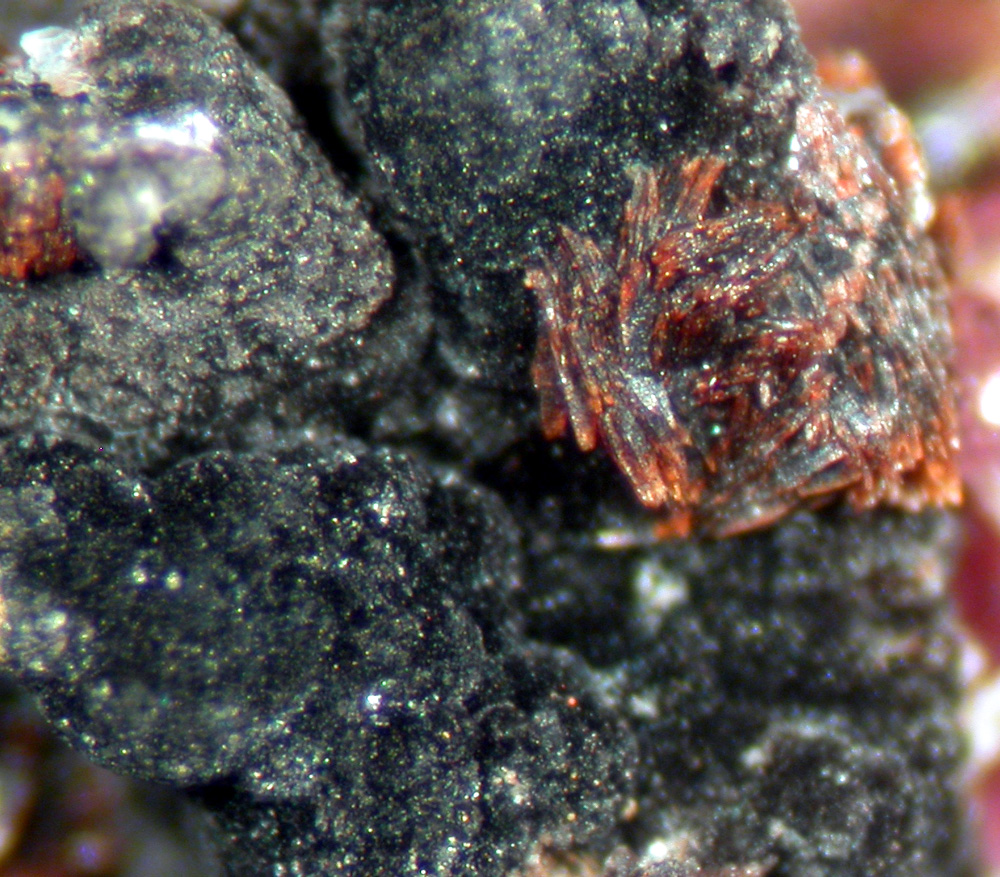 Strengite Serrabrancaite & Bermanite