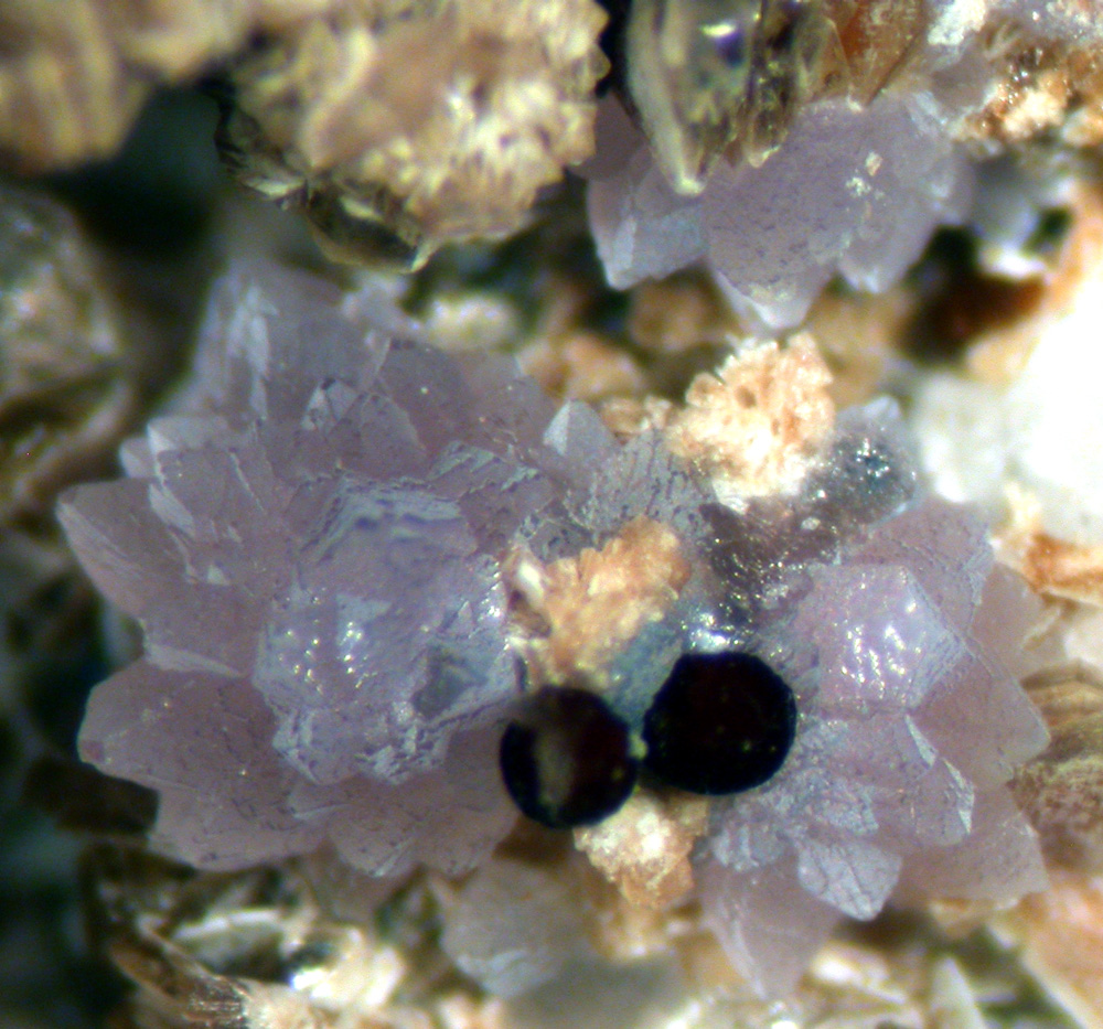 Jahnsite-(CaFeMg) Leucophosphite & Strengite