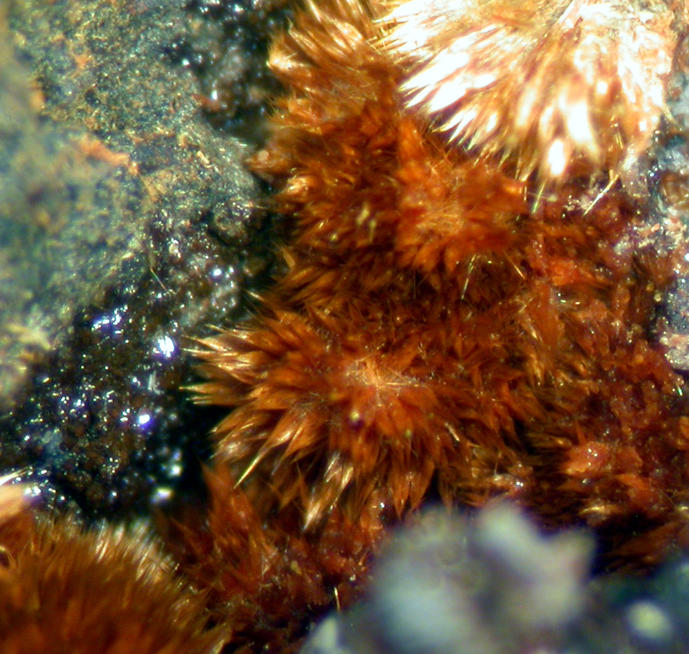 Karibibite