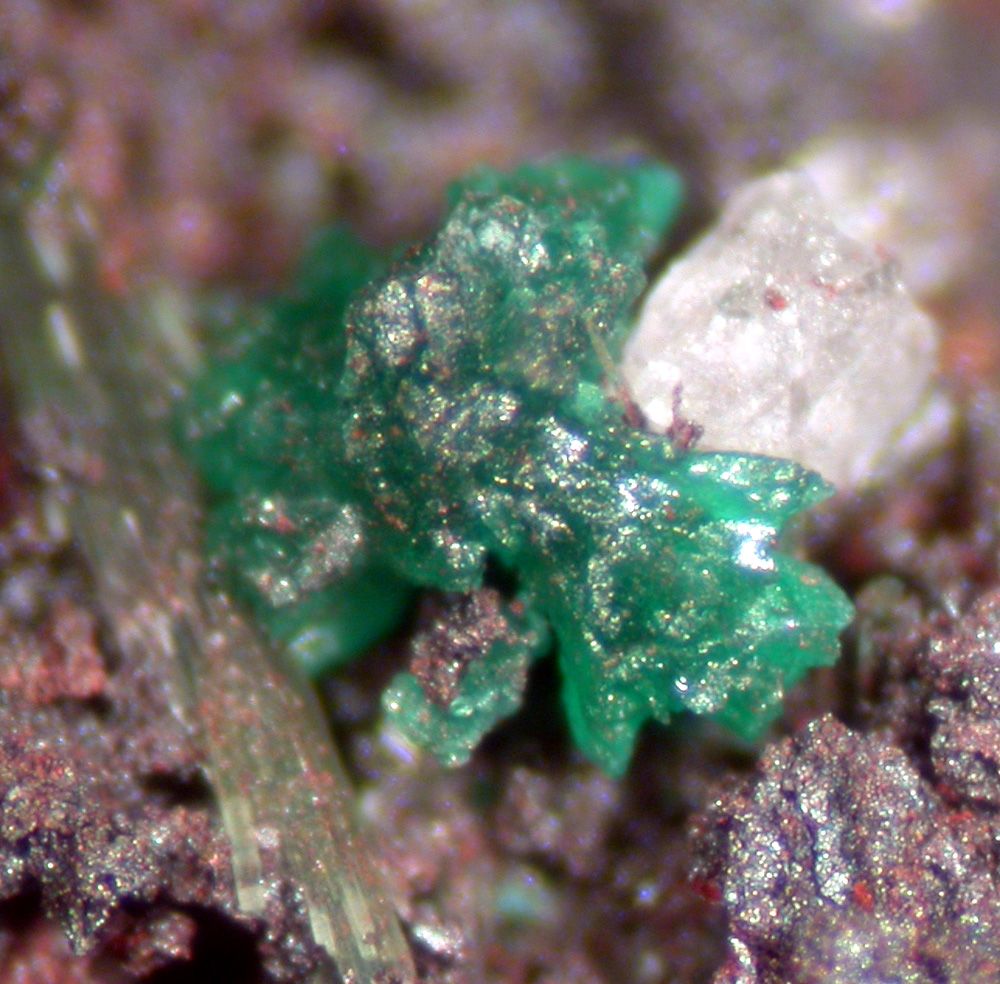 Cornwallite Olivenite & Malachite