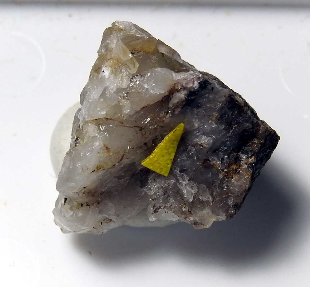 Pilsenite