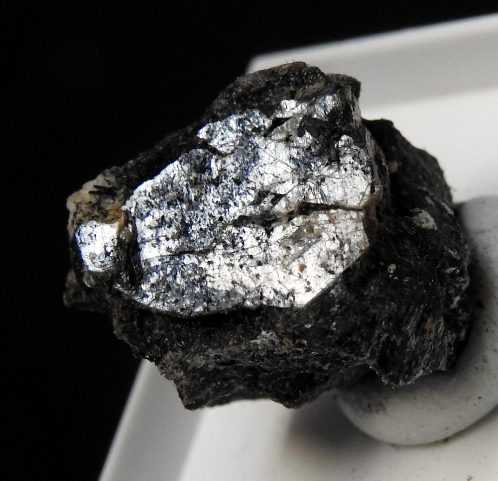 Naujakasite