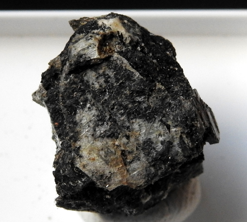 Naujakasite
