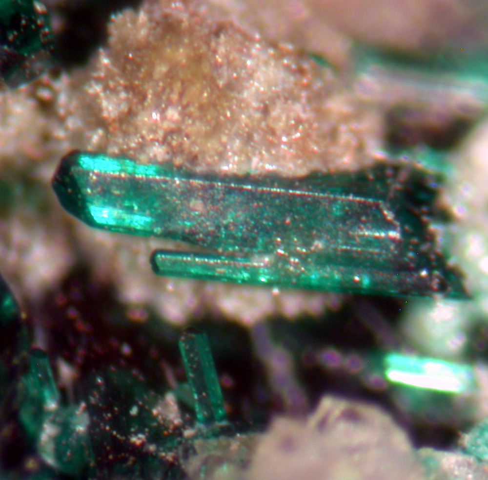 Paratacamite