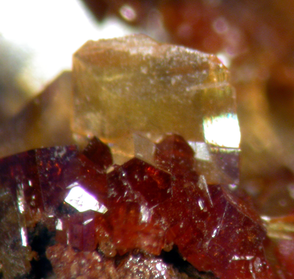 Vanadinite & Wulfenite