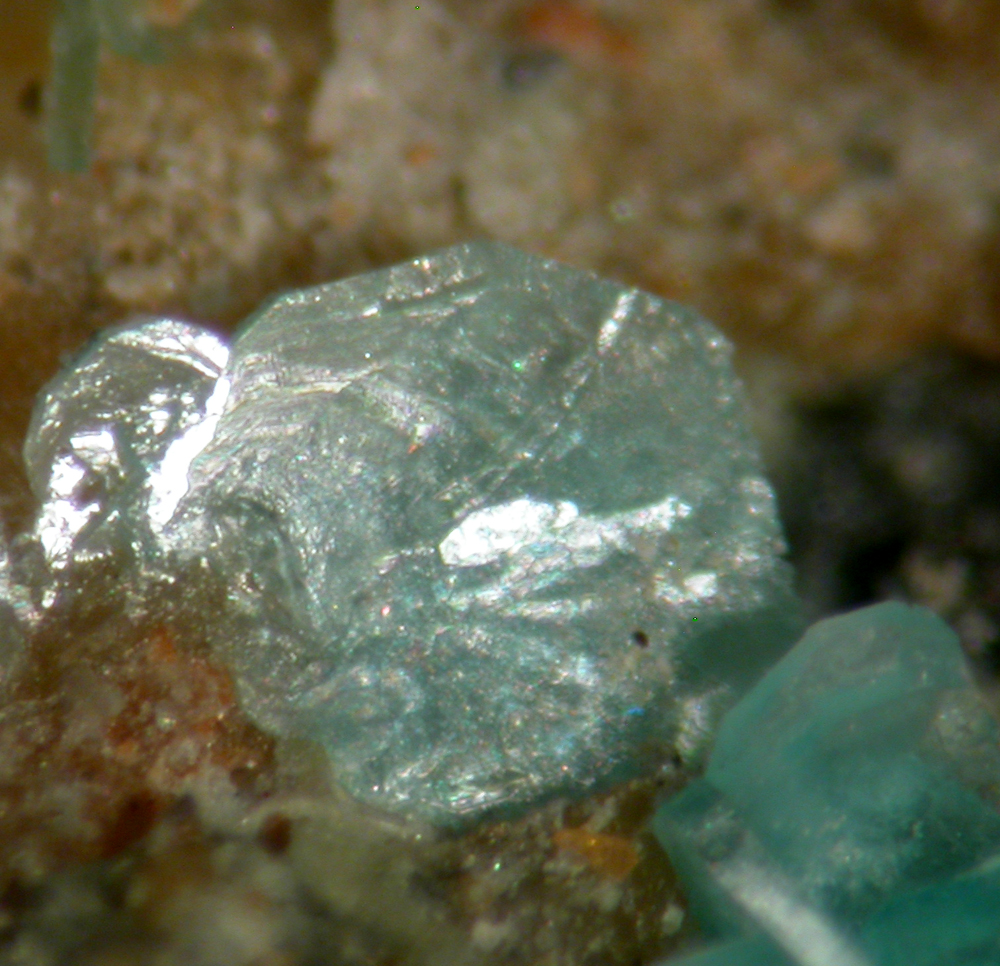Bottinoite & Ullmannite