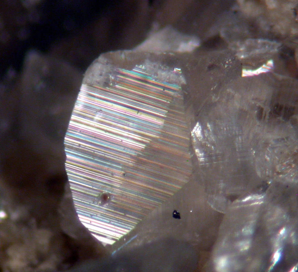 Brushite