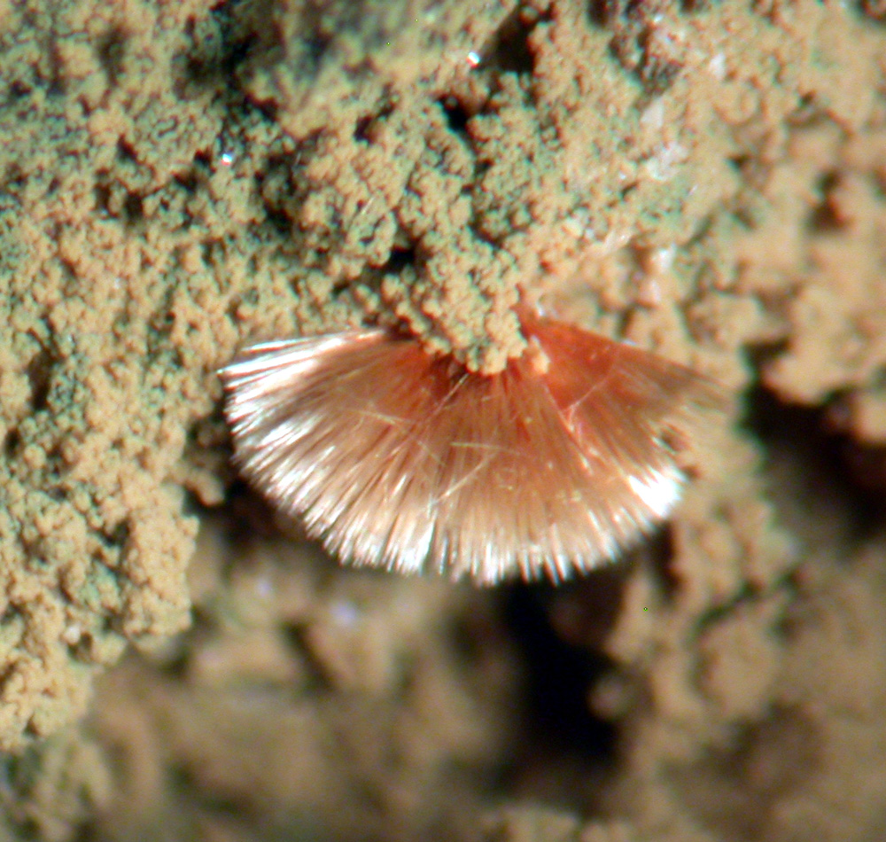 Beraunite Mitridatite Cacoxenite & Columbite